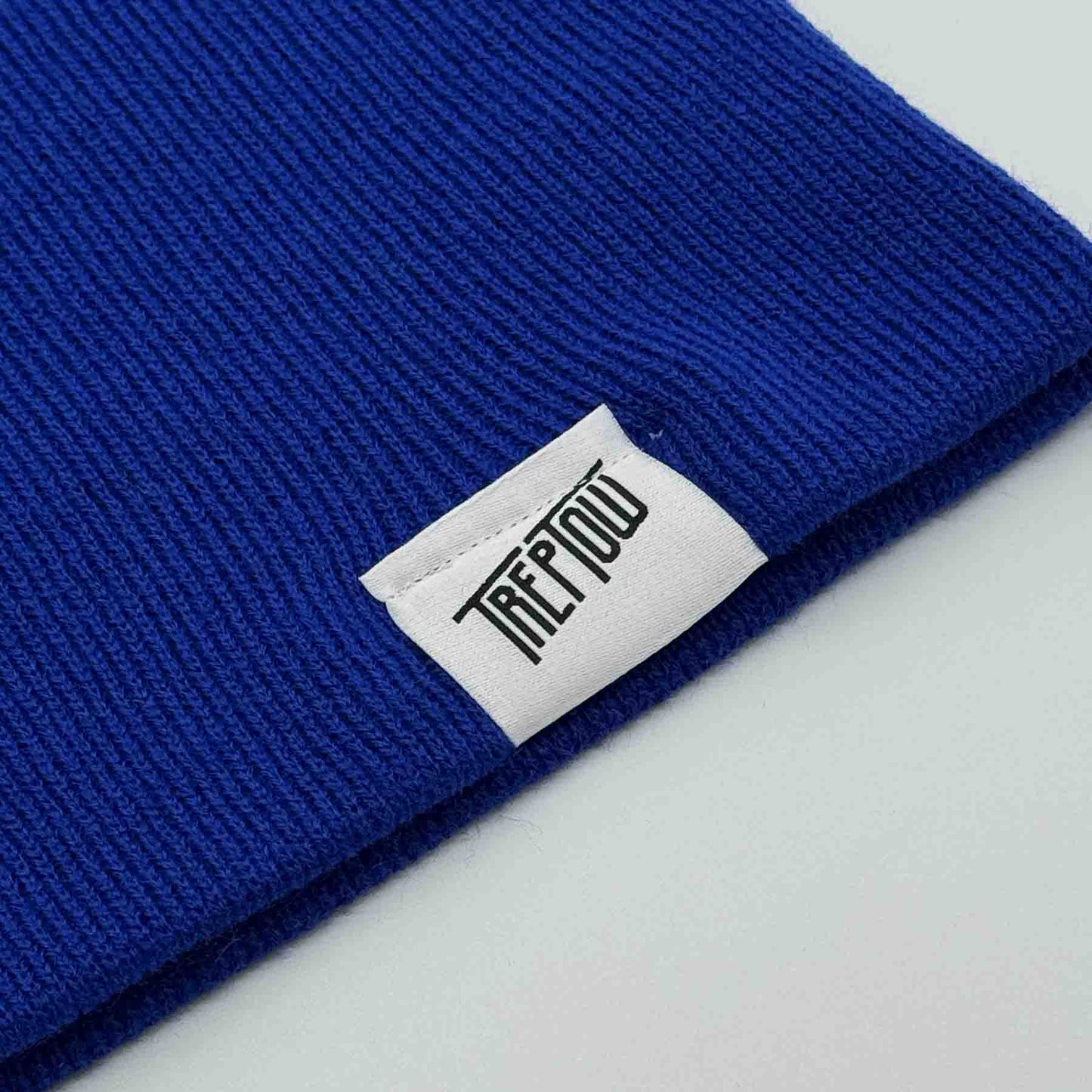 Kids Beanie - Treptosaurus - blau